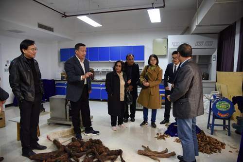 说明: http://news.hnmu.com.cn/__local/D/B8/3E/A5425186609C4AD3C4B9D2415A8_D3E6833C_1478C.png